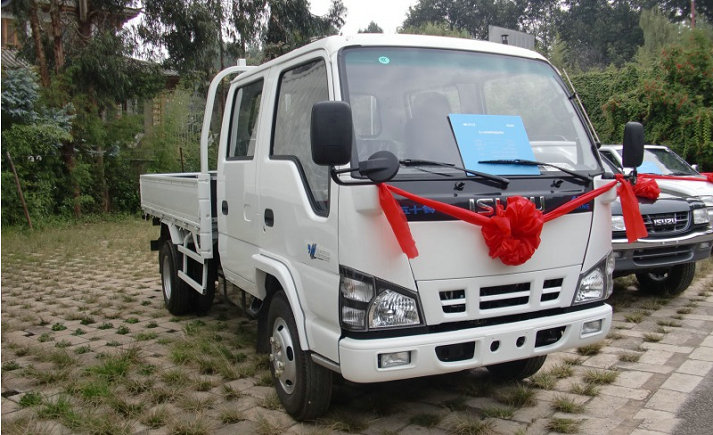 Isuzu 600P double cabin white transport cargo truck 