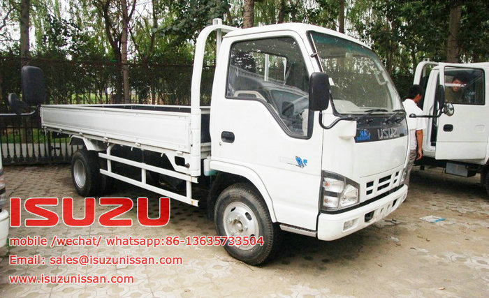 isuzu elf 6T lorry truck cargo truck