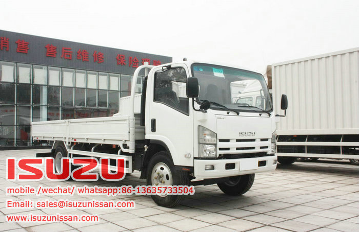 Isuzu elf light duty cargo truck 4T