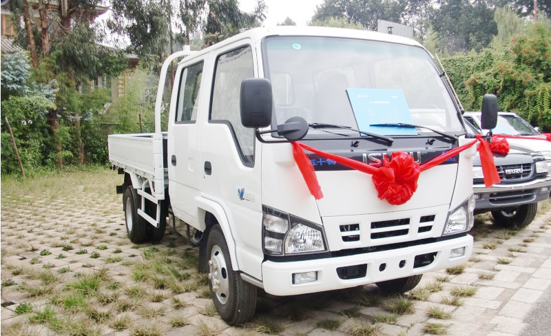Isuzu elf crew cabin truck