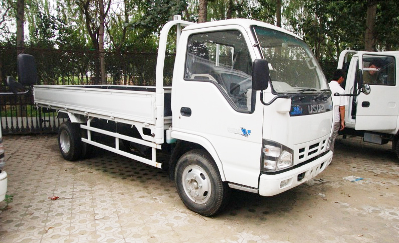 Isuzu 600p elf single cabin cargo goods lorry truck