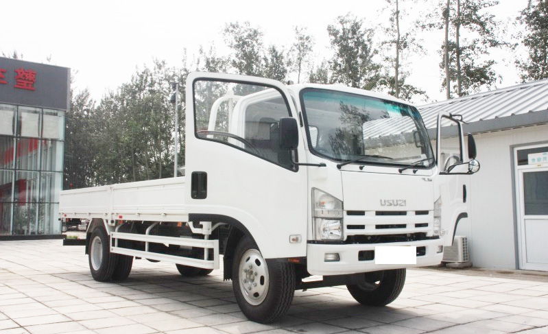 Isuzu 700P ELF lorry truck white