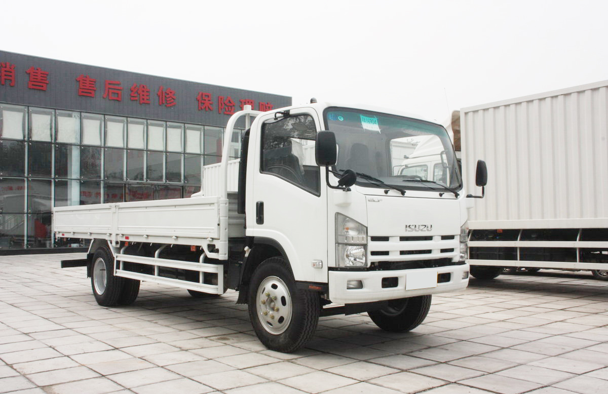 Isuzu ELF cargo lorry truck transport truck