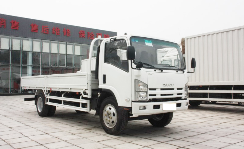 Isuzu ELF lorry truck